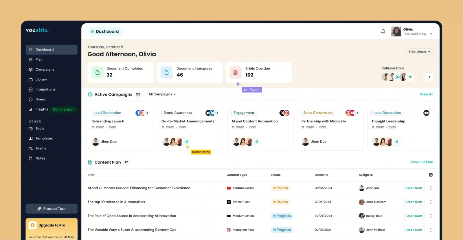 The Vocable dashboard listing live campaigns, document counts and the planned content